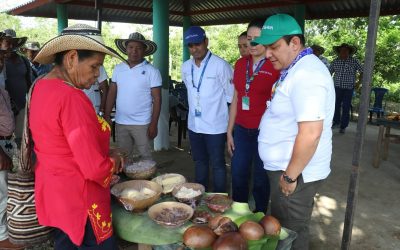 Avanzamos en la defensa de nuestras semillas criollas y nativas